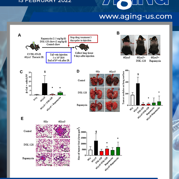 Aging: Volume 14, Issue 3