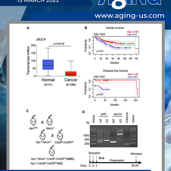 Aging Volume 14, Issue 5