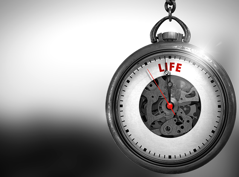 Behavioral Aging Study and Ethical Lifespan Assessment of Hybrid Mice