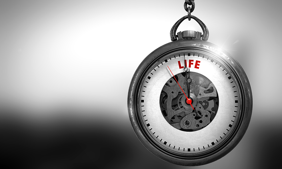 Behavioral Aging Study and Ethical Lifespan Assessment of Hybrid Mice
