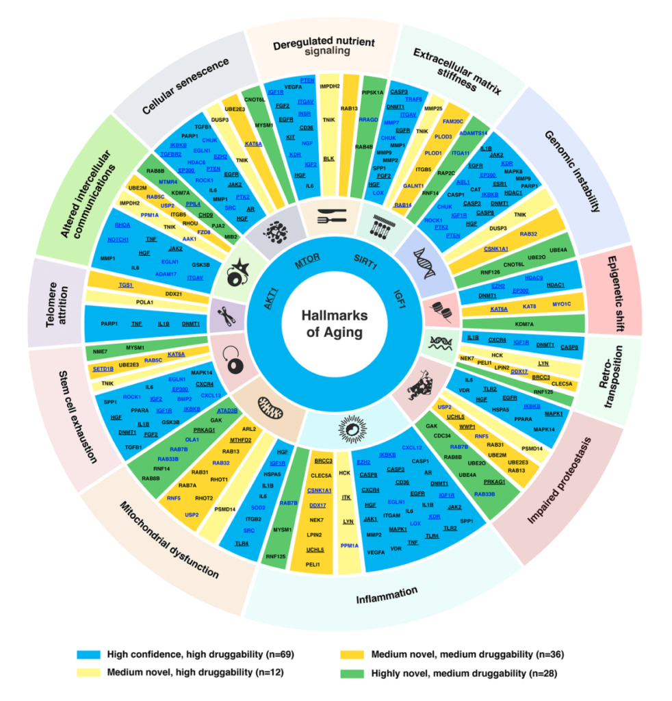 Figure 3. Targets associated with hallmarks of aging. 