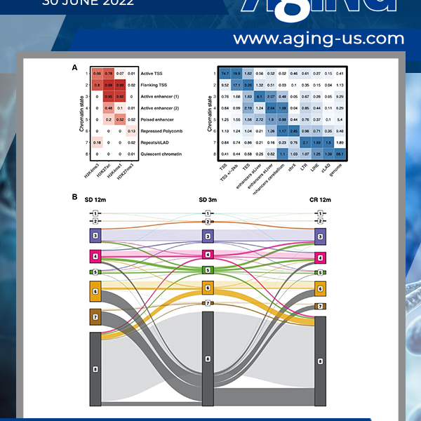 Aging Cover Volume 14, Issue 12