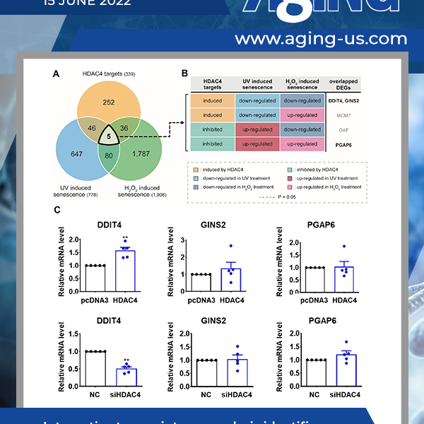 Aging Volume 14, Issue 11