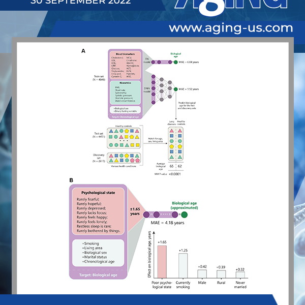 Aging Volume 14, Issue 18