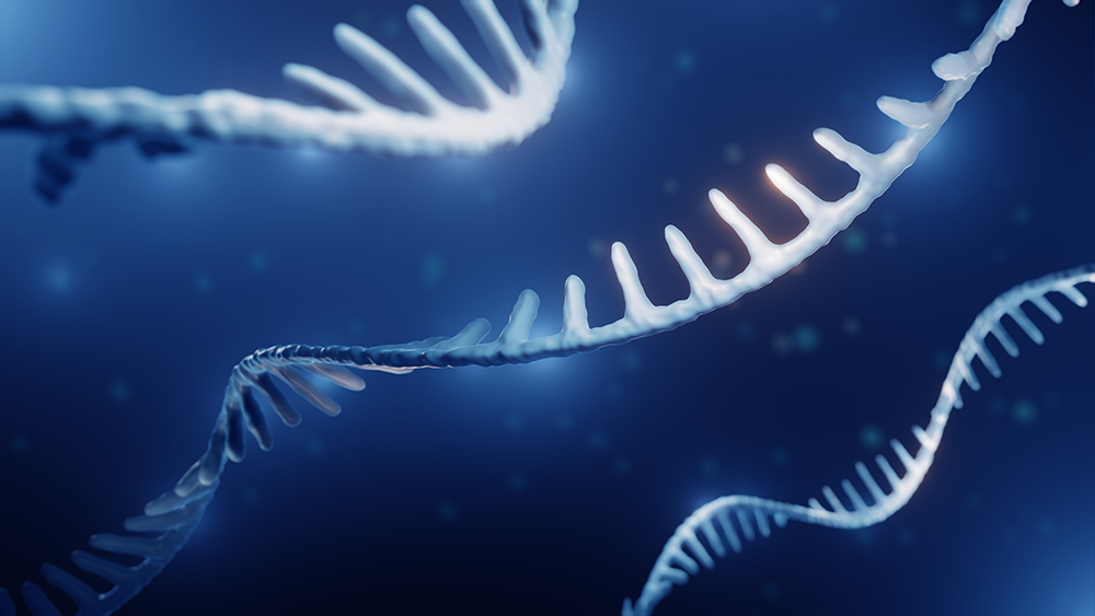microRNA illustration