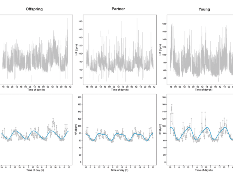 The association between continuous ambulatory heart rate, heart rate variability, and 24-h rhythms of heart rate with familial longevity and aging