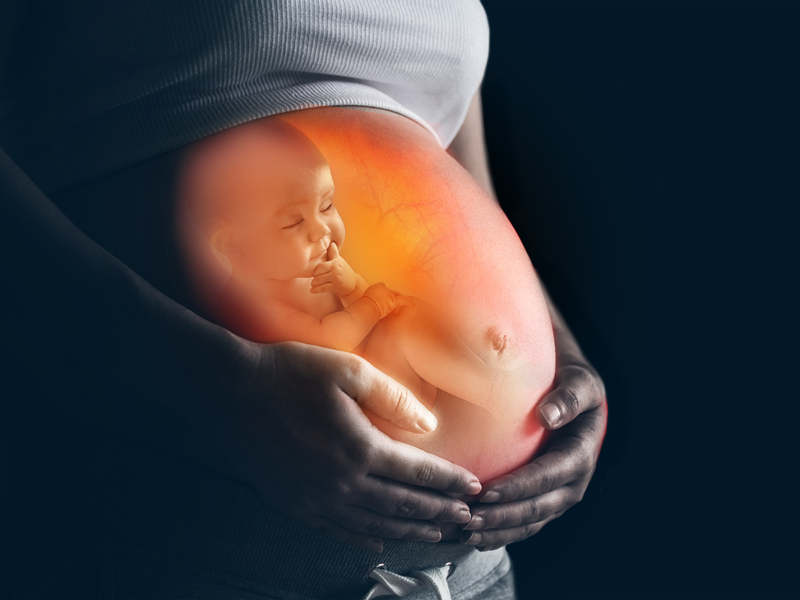 Unborn Children Exposed to Common Chemical Leads to Fertility Defects