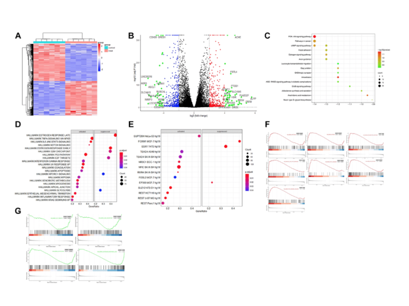 ESR1 dysfunction triggers neuroinflammation as a critical upstream causative factor of the Alzheimer’s disease process
