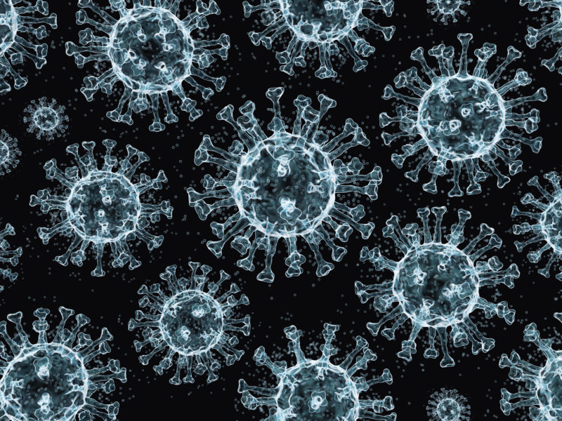 In a new study, researchers investigated the mortality and respiration rates of RNA-virus-infected male fruit flies and how aging impacts these outcomes and measurements.