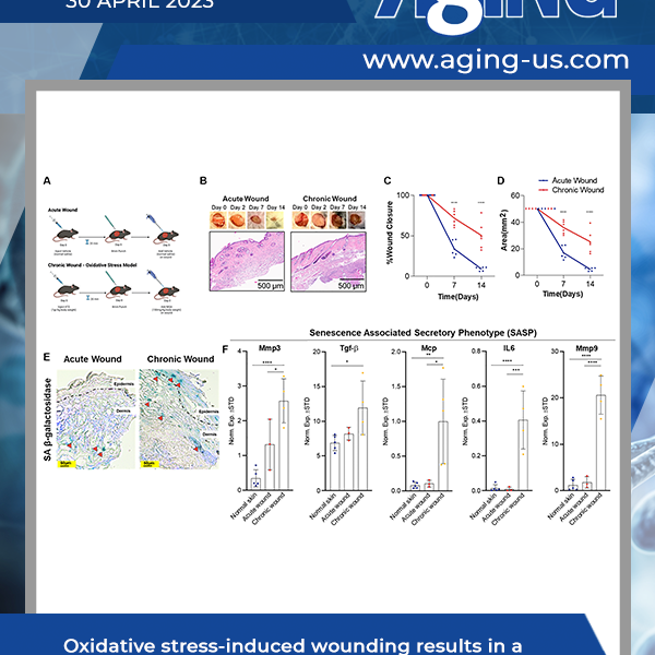 Aging Volume 15, Issue 8