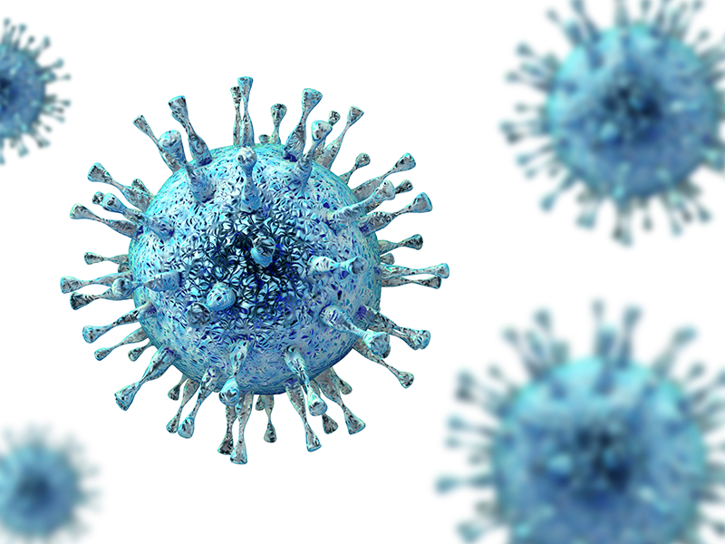 The Impact of Age, Sex, CMV, and Smoking on Circulating Immune Cells
