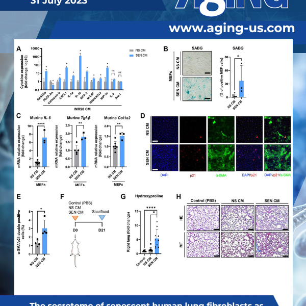 Aging Volume 15, Issue 14