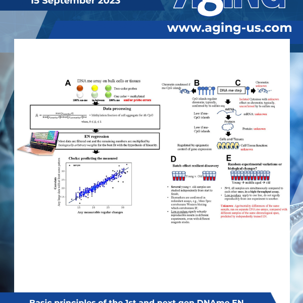Aging Volume 15, Issue 17