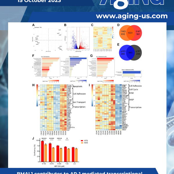 Aging Volume 15, Issue 19