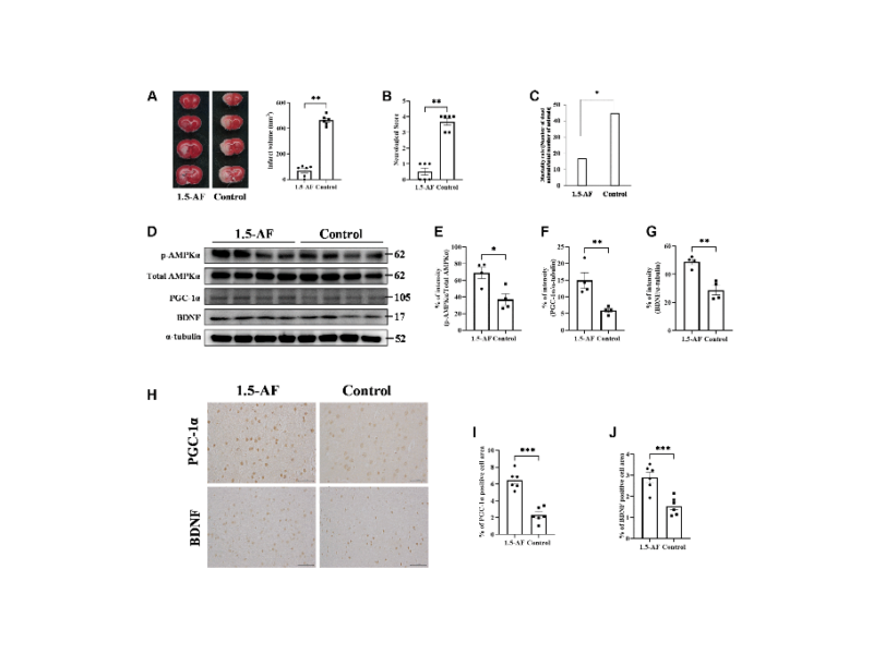 1,5-anhydro-D-fructose induces anti-aging effects on aging-associated brain diseases by increasing 5’-adenosine monophosphate-activated protein kinase activity via the peroxisome proliferator-activated receptor-γ co-activator-1α/brain-derived neurotrophic factor pathway