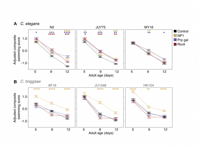 The coupling between healthspan and lifespan in Caenorhabditis depends on complex interactions between compound intervention and genetic background
