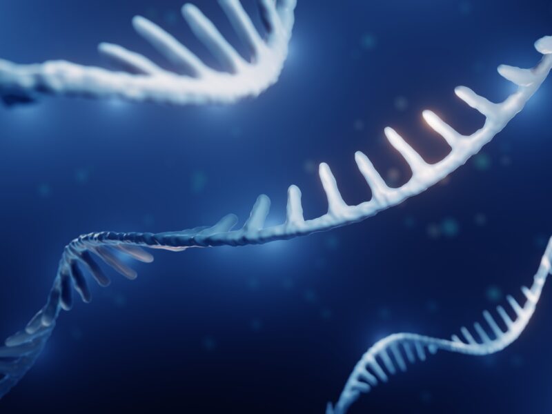 Single helix RNA, Epigenetics concept
