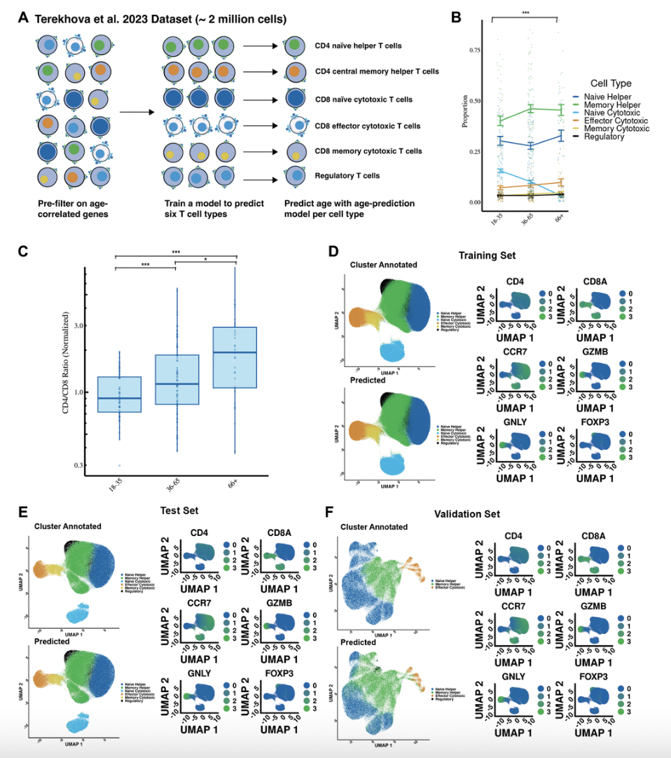 Single-cell transcriptomics reveal intrinsic and systemic T cell aging in COVID-19 and HIV