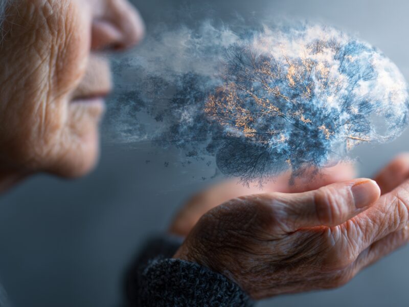 Brain Silhouette: An artistic representation depicts an elderly person holding a disintegrating brain silhouette, symbolizing memory loss, cognitive decline, or the passage of time.